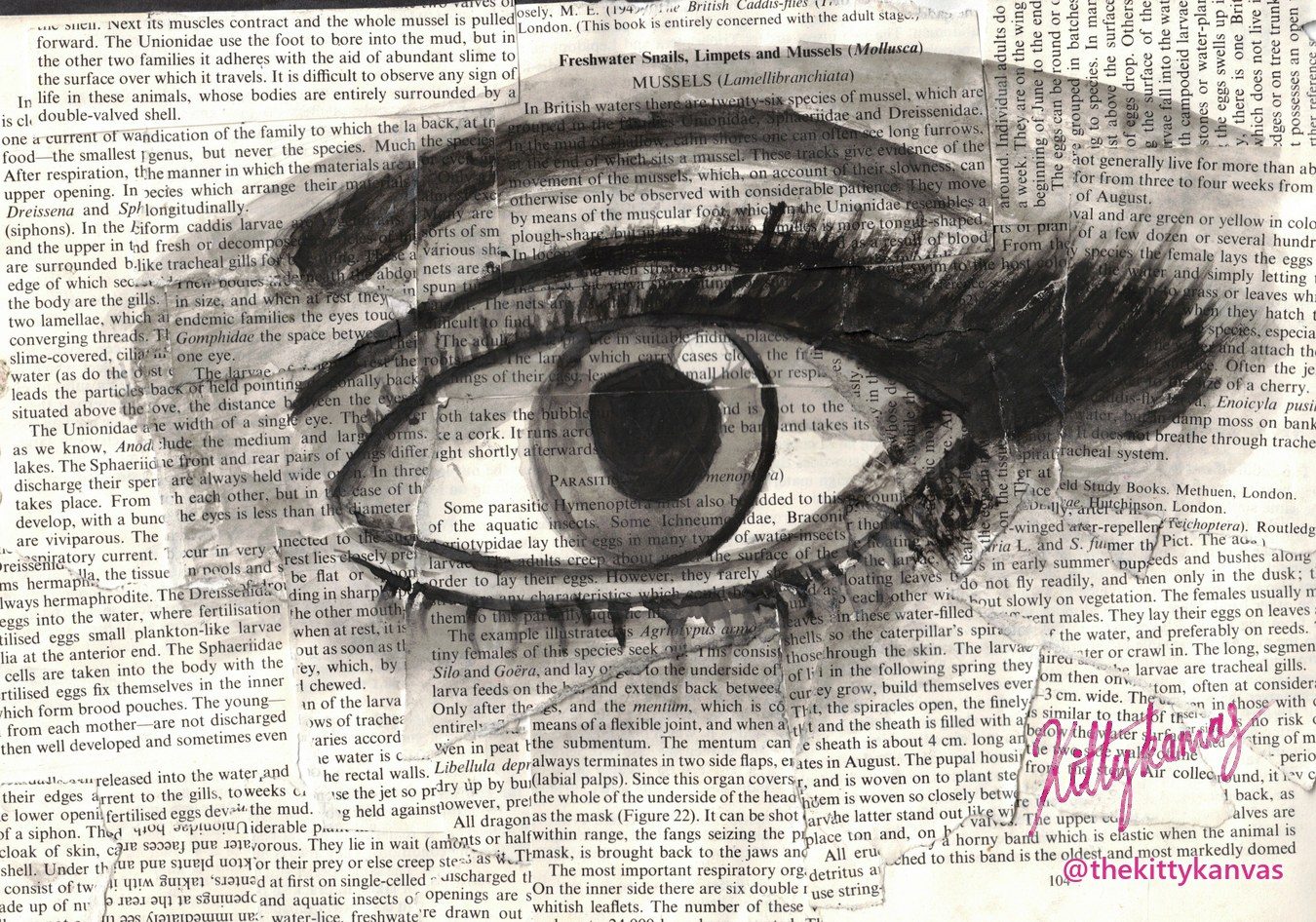 Mixed-media eye painted in watercolour over a torn page from an old book