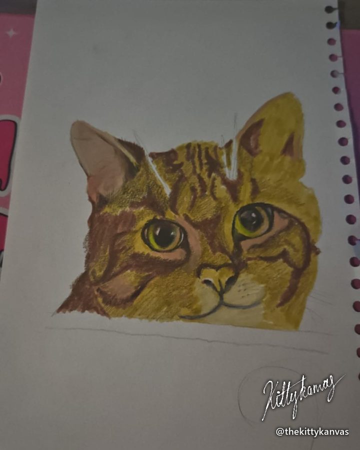 Tabby: 25%: the first layers
