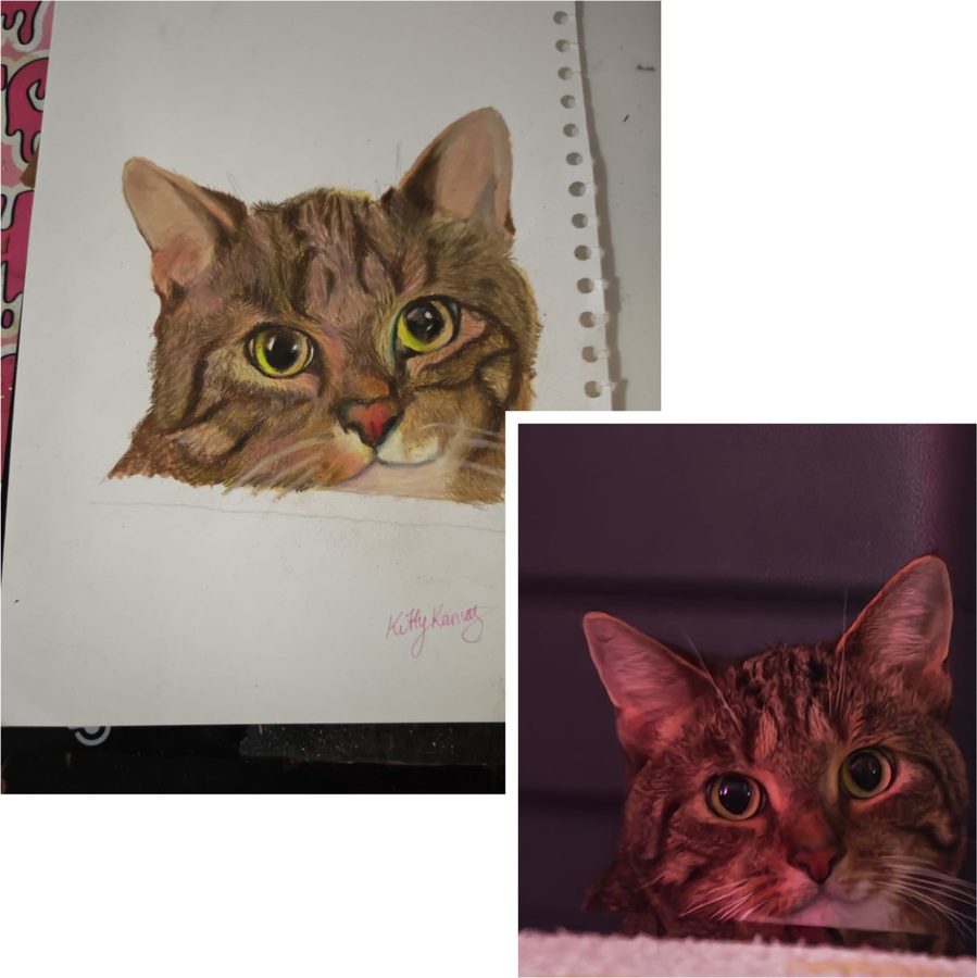 Tabby: Finished, next to Tabby herself