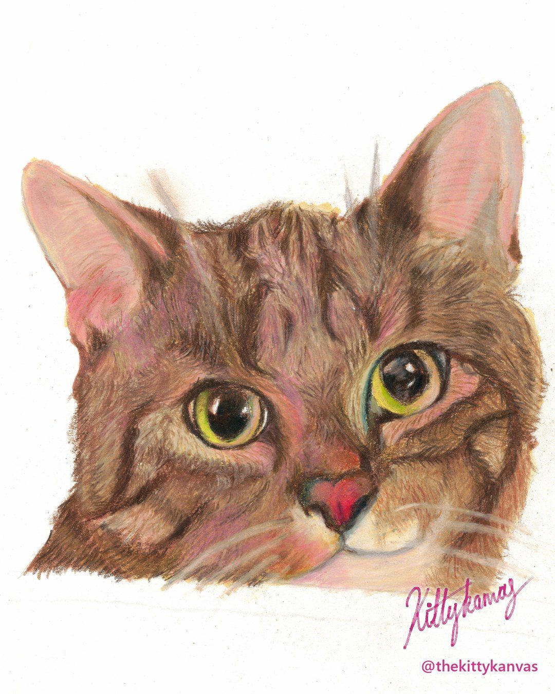 Coloured-pencil portrait of a brown tabby cat with big green eyes, peeking over a ledge
